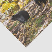 Papier Mousseline Trois ours (Détail)