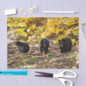 Papier Mousseline Trois ours (Artisanat)