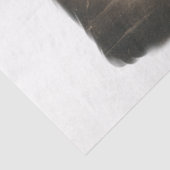 Papier Mousseline Trois Sorcières Antique (Détail)