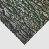 Papier Mousseline Tronc d'arbre (écorce en bois) (Détail)