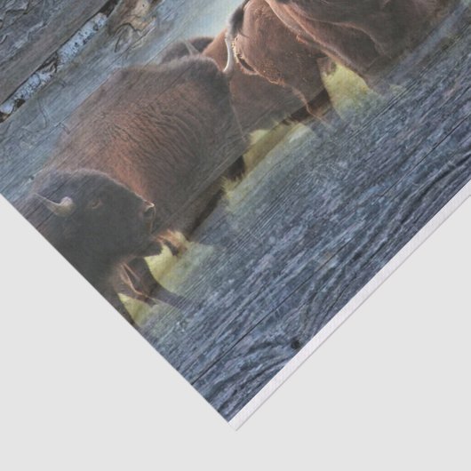 Papier Mousseline Troupeau de Buffalo (Détail)