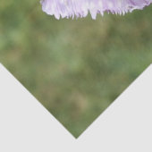 Papier Mousseline Tulipe à franges pourpres (Détail)