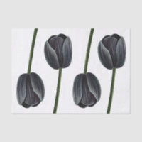 Tulipe noire minimaliste