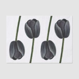 Papier Mousseline Tulipe noire minimaliste