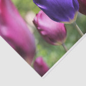 Papier Mousseline Tulipe pourpre simple (Détail)