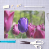 Papier Mousseline Tulipe pourpre simple (Artisanat)