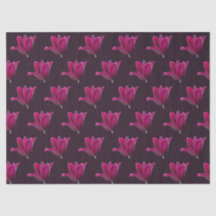 Tulipe rose foncé