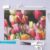 Papier Mousseline Tulipes de printemps (Artisanat)