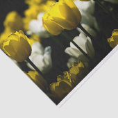 Papier Mousseline Tulipes Jaune Et Blanc (Détail)