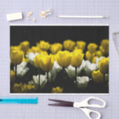 Papier Mousseline Tulipes Jaune Et Blanc (Artisanat)