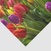 Papier Mousseline Tulipes lumineuses (Détail)