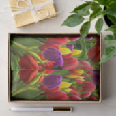Papier Mousseline Tulipes lumineuses (Cadeau)