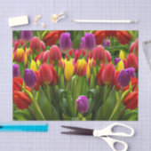Papier Mousseline Tulipes lumineuses (Artisanat)