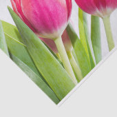 Papier Mousseline Tulipes roses avec Feuille vert photo (Détail)