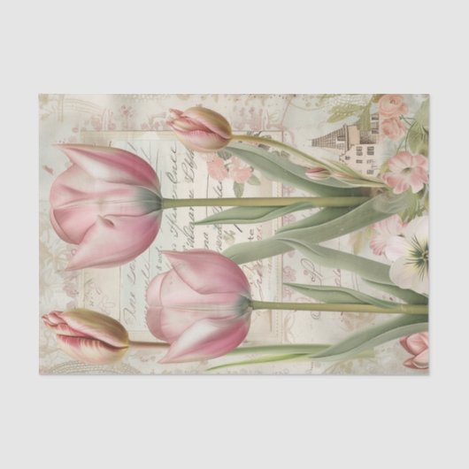 Papier Mousseline Tulips d'Amsterdam Écriture de script (Recto)