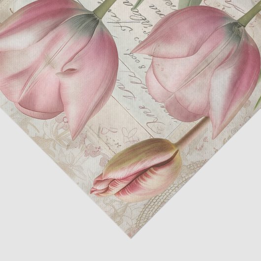 Papier Mousseline Tulips d'Amsterdam Écriture de script (Détail)