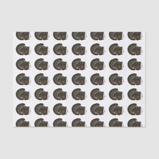 Papier Mousseline Turquie Bronze Tom (Recto)