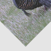 Papier Mousseline Turquie sauvage (Détail)