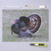 Papier Mousseline Turquie sauvage (Artisanat)