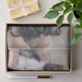 Papier Mousseline Two Kittens ・ Henriette Ronner-Knip (1821-1909) (Cadeau)