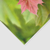 Papier Mousseline Two maple leaves (Détail)