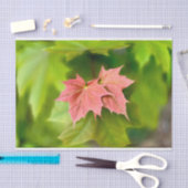 Papier Mousseline Two maple leaves (Artisanat)