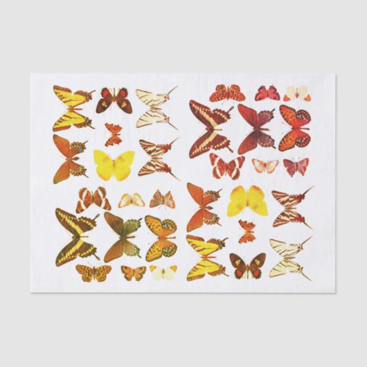 Papier Mousseline Types de papillons Collection Rouge Jaune (Recto)