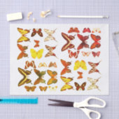 Papier Mousseline Types de papillons Collection Rouge Jaune (Artisanat)