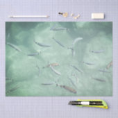 Papier Mousseline Un banc de poissons (Artisanat)
