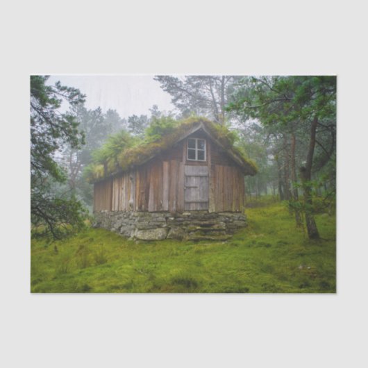 Papier Mousseline Un Cabine de fées dans la forêt (Recto)