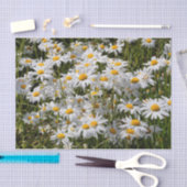 Papier Mousseline Un champ de marguerites oculaires (Artisanat)