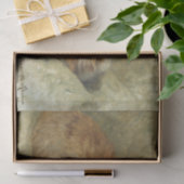 Papier Mousseline Un chat endormi par Henriette Ronner-Knip (Cadeau)