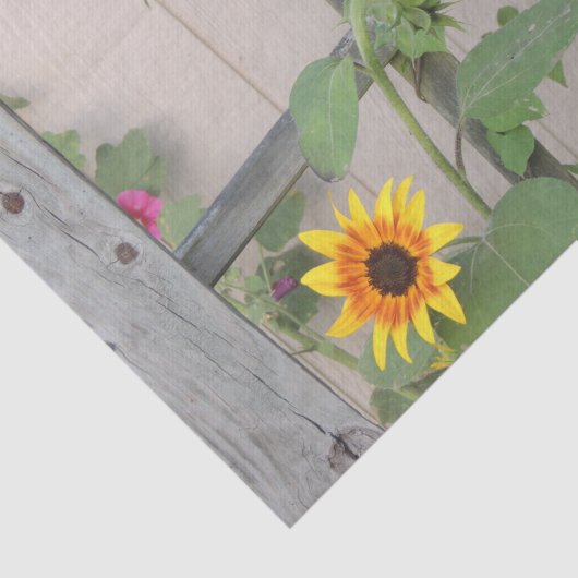 Papier Mousseline Un coq inspecte les tournesols (Détail)