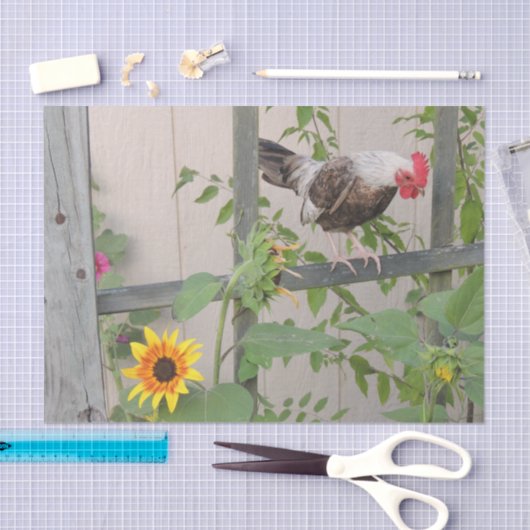 Papier Mousseline Un coq inspecte les tournesols (Artisanat)