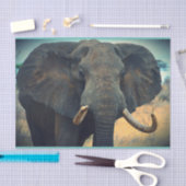 Papier Mousseline Un éléphant africain proche (Artisanat)