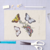 Papier Mousseline Un exemple de l'histoire naturelle des insectes (Artisanat)