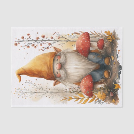 Papier Mousseline Un Gnome adorable (Recto)