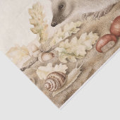 Papier Mousseline Un hérisson dans un paysage par Giovanna Garzoni (Détail)