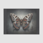 Papier Mousseline Un papillon nocturne de papillon de nuit, comme vo (Recto)