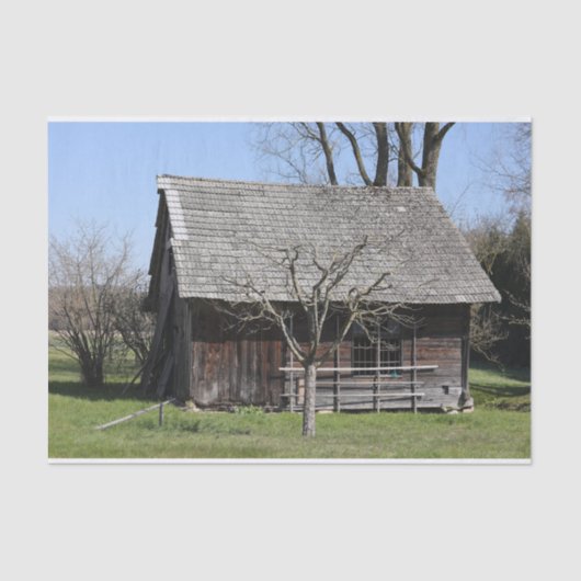 Papier Mousseline Un petit arbre mignon se tient à côté d'un Cabine (Recto)