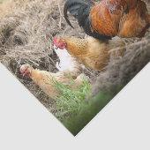 Papier Mousseline Un portrait chaotique du poulet Partie 3 (Détail)