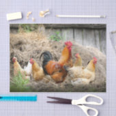 Papier Mousseline Un portrait chaotique du poulet Partie 3 (Artisanat)