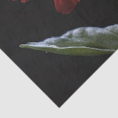 Papier Mousseline Une Baise Rouge Sur Le Côté Noir Gauche, Découpage (Détail)