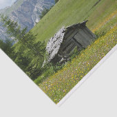 Papier Mousseline Une grange délabrée dans une campagne italienne (Détail)