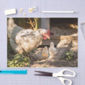 Papier Mousseline Une Mère Poulet Avec Ses Enfants (Artisanat)