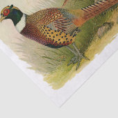 Papier Mousseline Une paire de faisans étranglés d'anneau dans un (Détail)