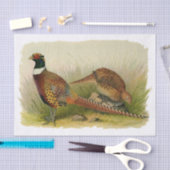 Papier Mousseline Une paire de faisans étranglés d'anneau dans un (Artisanat)