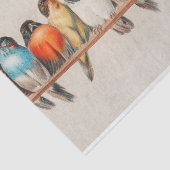 Papier Mousseline Une perche d'oiseaux par Hector Giacomelli (Détail)