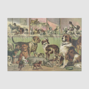 Papier Mousseline Une pléthore de tissus de chiens