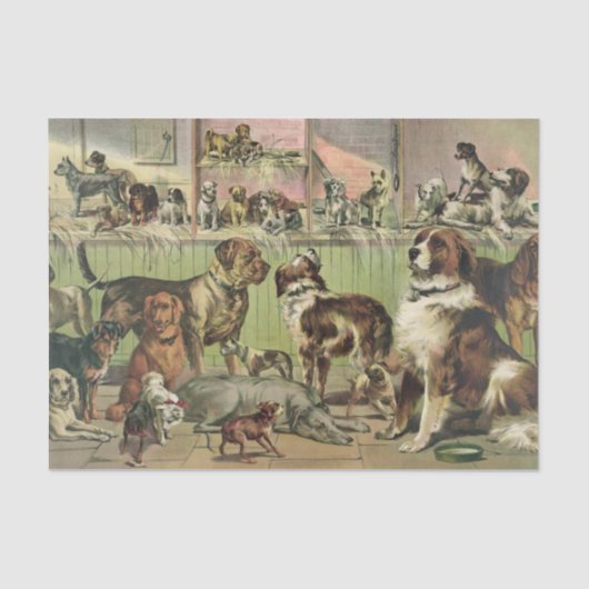 Papier Mousseline Une pléthore de tissus de chiens (Recto)